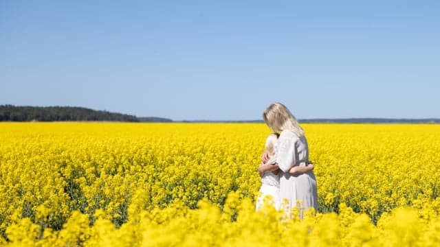 Förhandsvisning av film