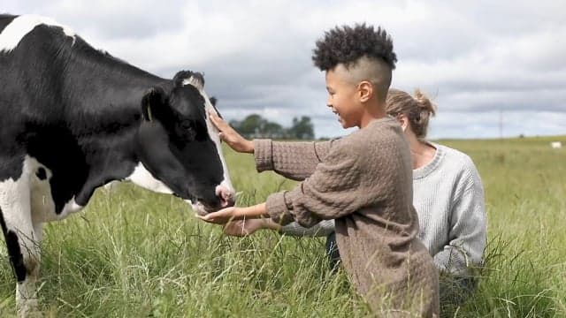Förhandsvisning av film