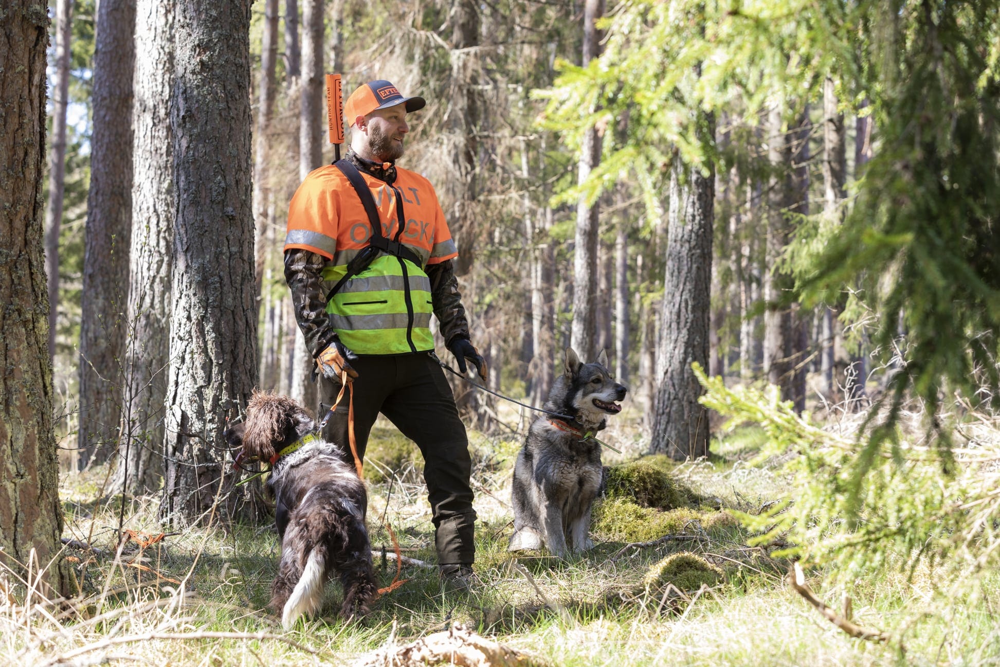 Reklambilder för Länsförsäkringar